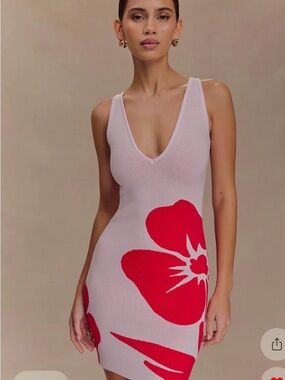 Meshki Pink Mini Dress with Red Floral Motif